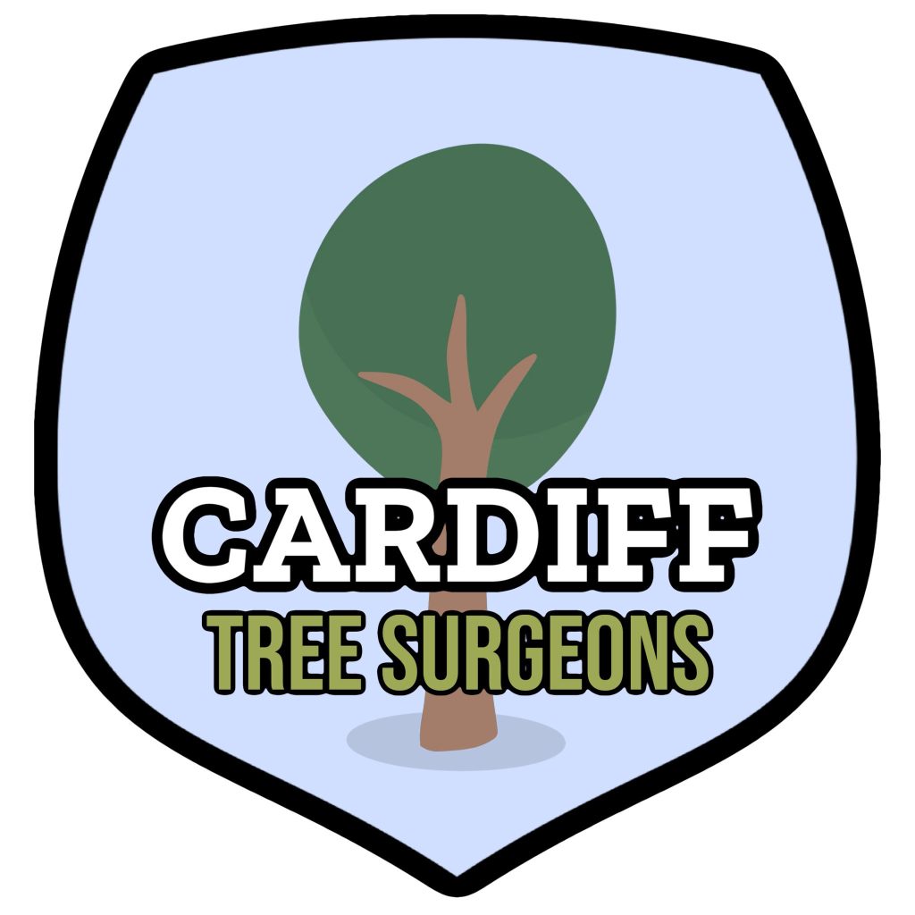 Tree services cardiff